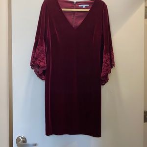 Stunning Velvet dress
